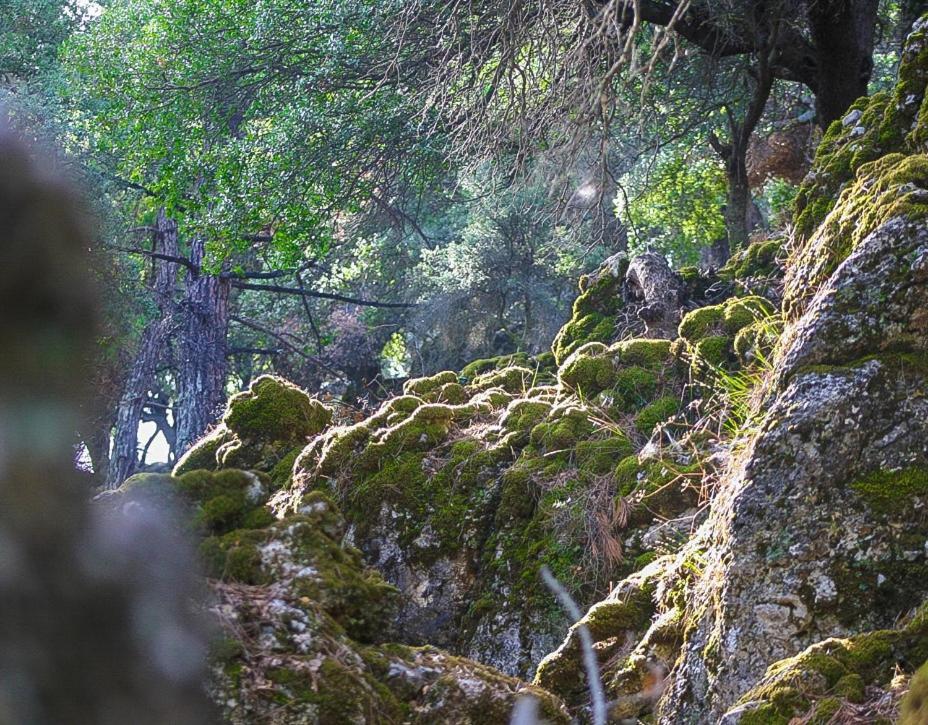 Villa Dio Petres Kroustas Dış mekan fotoğraf